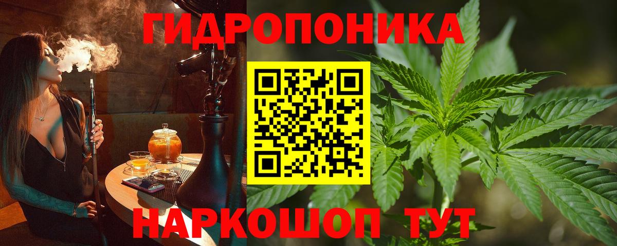 МАРИХУАНА THC 21%  Вход с VPN  Бошки Шишки VHQ  Орск 